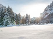 A winter landscape